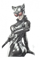 https://www.laurentdhermy.com/comic/files/gimgs/th-45_catwoman 2.jpg